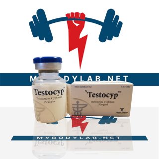 1-TESTOCYP 200 in USA - mybodylab.net