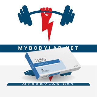 Letros 2.5 2.5mg (50 pills) - in USA - mybodylab.net