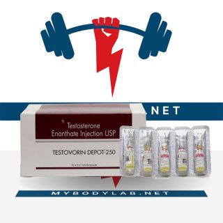 TESTOVORIN DEPOT-250- in USA - mybodylab.net