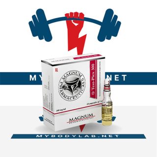 MAGNUM TEST-PLEX 300- in USA - mybodylab.net