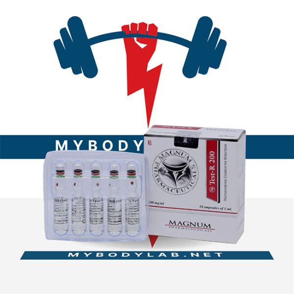 MAGNUM TEST-R 200- in USA - mybodylab.net