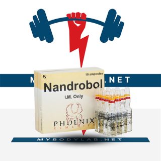 nandrobol in USA - mybodylab.net