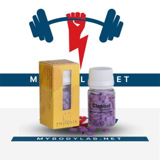 Clenbol 50mcg (100 pilules)- in USA - mybodylab.net