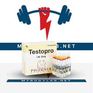 Testopro 10 ampoules (100mg_ml) (2) - in USA - mybodylab.net