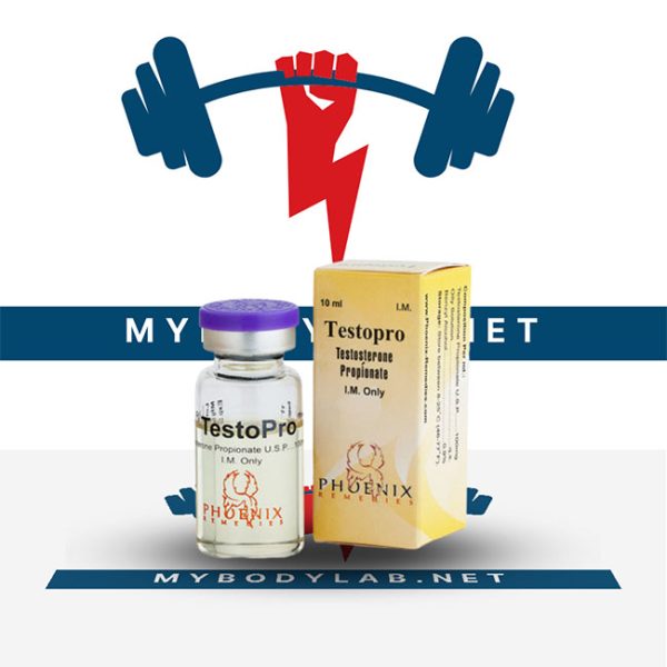 Testopro 10 ampoules (100mg_ml) - in USA - mybodylab.net