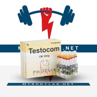 testocom in USA - mybodylab.net