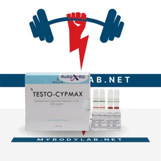 TESTO-CYPMAX in USA - mybodylab.net