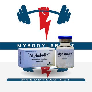 ALPHABOLIN (VIAL) in USA - mybodylab.net