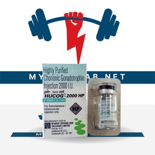 HCG 2000IU in USA - mybodylab.net