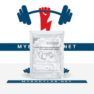 CLOMID 50 50mg (100 pills) in USA - mybodylab.net