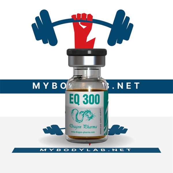 EQ 300 - in USA - mybodylab.net