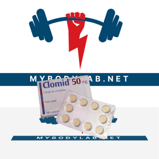 clomid-50mg in USA - mybodylab.net