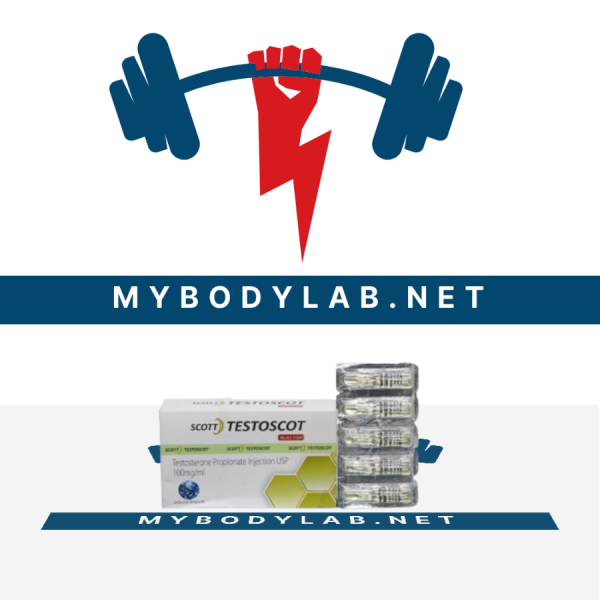 testoscot in USA - mybodylab.net